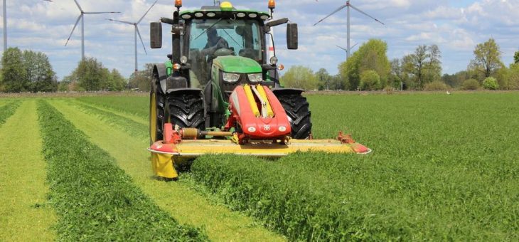 Futterknappheit mit gut geplantem Zwischenfruchtanbau managen