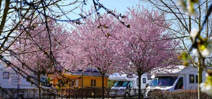 Der Wohnmobil-Stellplatz der Kur und Bäder GmbH geht am Montag, 18. Mai, unter Auflagen wieder in Betrieb