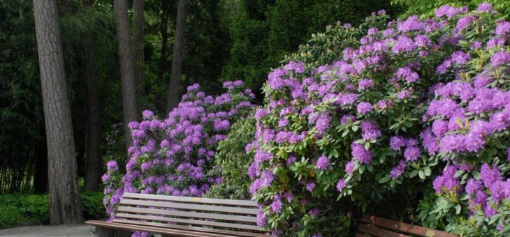 Botanischer Garten München-Nymphenburg weiterhin geschlossen