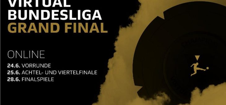 Das VBL Grand Final 2020 findet statt – als Online-Turnier