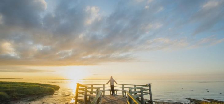 Primo PR und Account Butlers kommunizieren #freihochdrei-Kampagne für die Insel Amrum