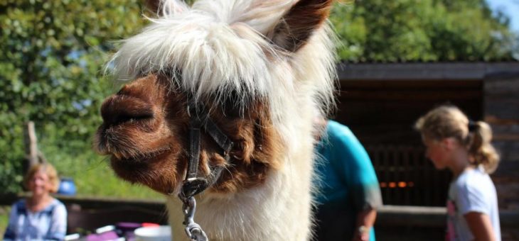 Buntes Kindersommerprogramm in den Rostocker Seebädern