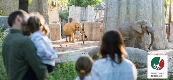 Dreiviertel der Deutschschweizer befürworten Zoos