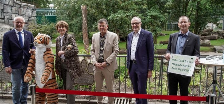 Sommerferien-Highlight:  Kölner Zoo eröffnet neue Anlage für die Amurtiger