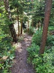 Entspannt wandern im Nördlichen Schwarzwald