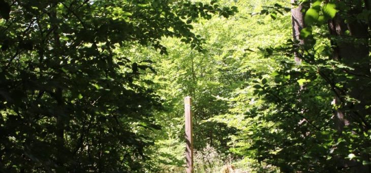 Wanderungen im Nationalpark mit der Familie, abends und zu den Themen Sehnsucht und Klimakrise