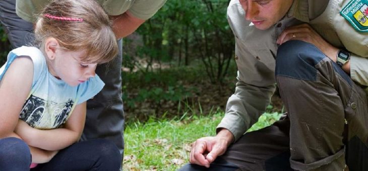 Familienführungen für Groß und Klein