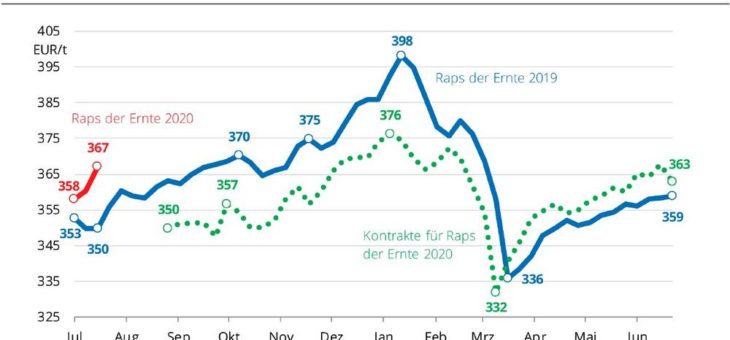 Rapspreise über Vorjahresniveau