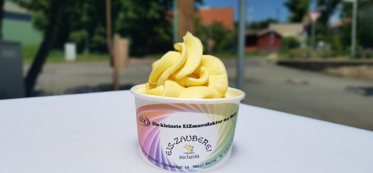 Eis im Becher – für zuhause & unterwegs