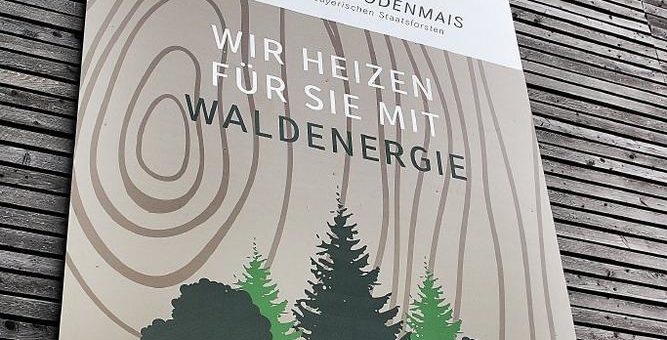 Wo die Power direkt aus dem Wald kommt