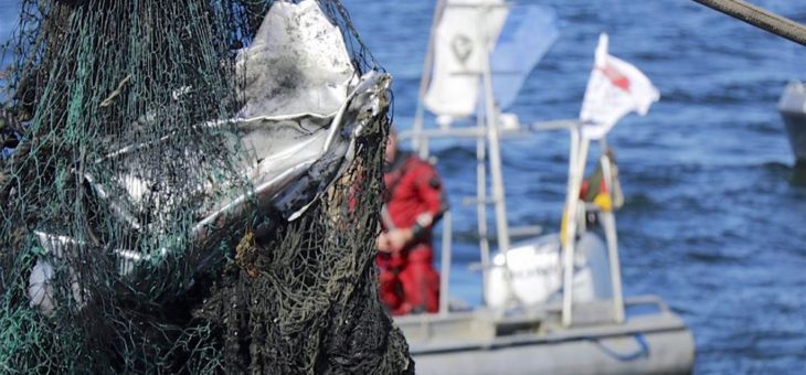 Erfolgreiche Bergung großer Geisternetze vor Rügen