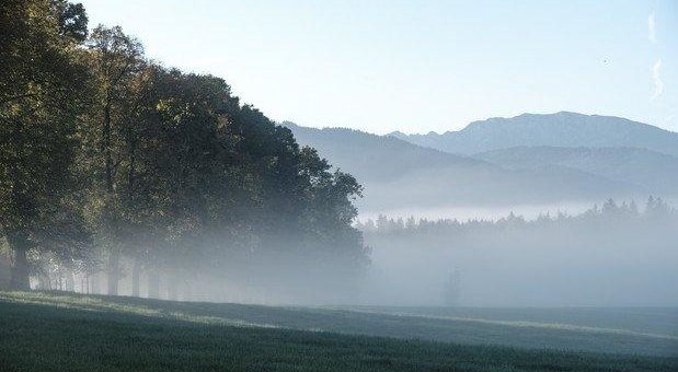 Ulrike Draesner und Esther Kinsky erhalten Deutschen Preis für Nature Writing 2020