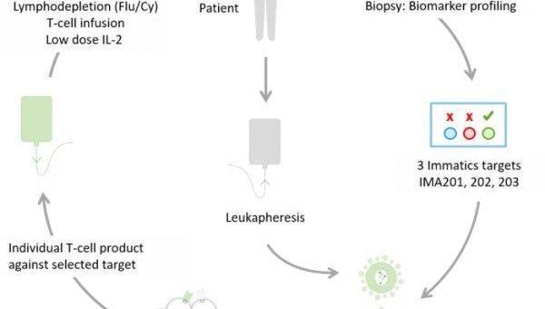 Immatics Announces European Clinical Expansion of its Adoptive Cell Therapy Programs