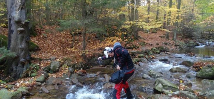 Im Vielklang mit der Natur: Eine musikalische Reise durch die 16 deutschen Nationalparks