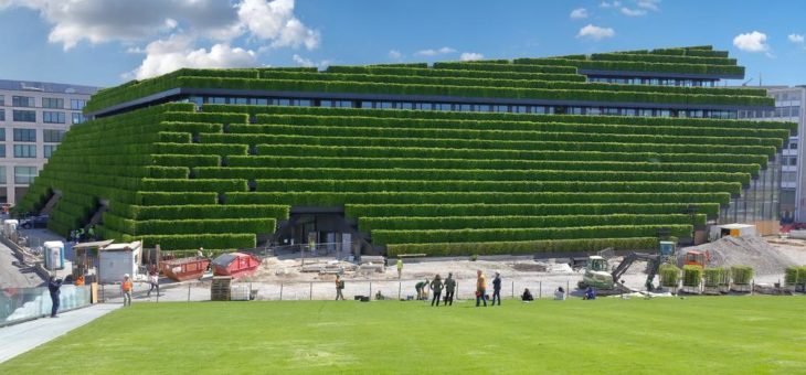 Grüne Insel im Zentrum von Düsseldorf – Gebäudebegrünung machts möglich