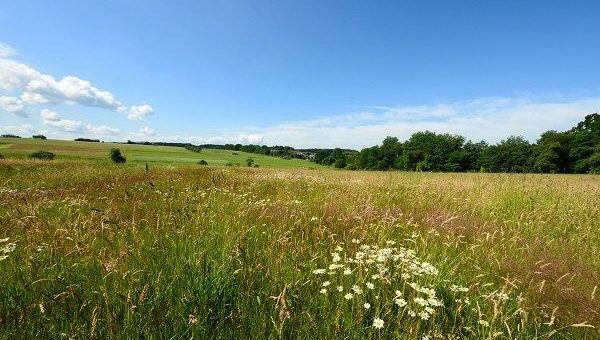 Umweltverband Naturschutzinitiative e.V. (NI) fordert: Kein neues Industriegebiet in Selters (Grießing)