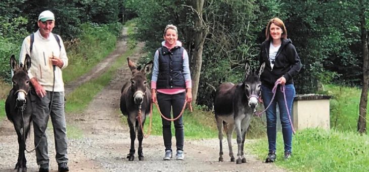 Lammguck!-Erlebniswanderungen mit Schafen, Esel und määhr