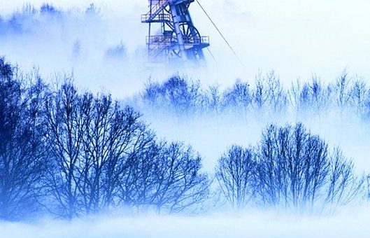 Schöpfung. Natur. Umwelt: Zwei neue Ausstellungen im Oberschlesischen Landesmuseum