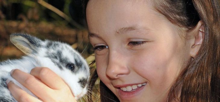 Tierische Herbstferien im Wildpark Schwarze Berge