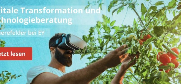 Karrierefelder bei EY – Digitale Transformation und Technologieberatung