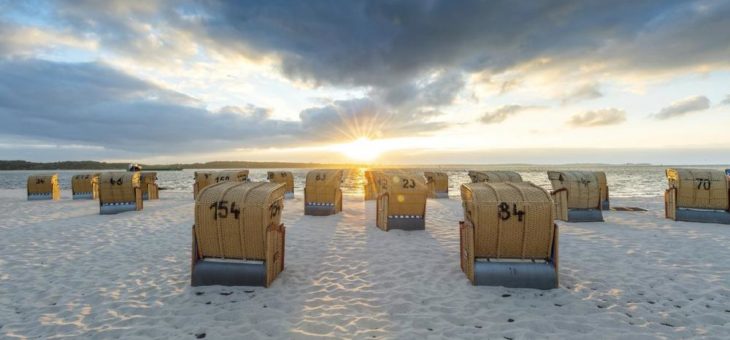 Erfolgreiche Ostsee: Erhebliche Zuwächse in den letzten fünf Jahren an der Ostsee Schleswig-Holstein