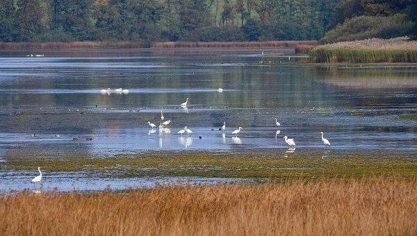 Umweltverband Naturschutzinitiative e.V. (NI) fordert: