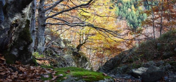 Ligurien im Hinterland: Von Bonbonfarben zu Goldgelb bis Haselnussbraun