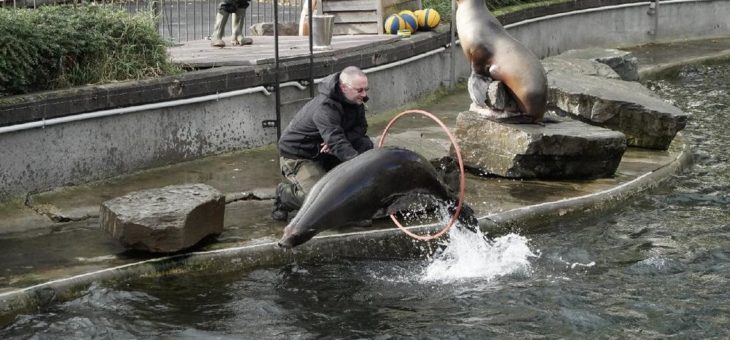 Besuch im Kölner Zoo: So geht’s den Tieren im Lockdown