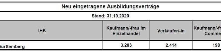 HBW Jahrespressekonferenz: Lage des Einzelhandels in Baden-Württemberg vor dem Weihnachtsgeschäft