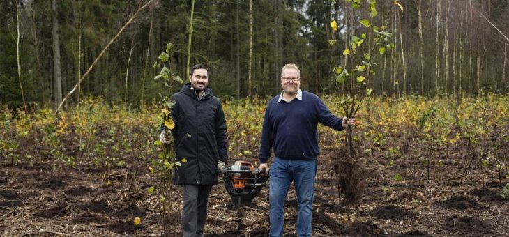 Tausend Bäume für eine saubere Umwelt