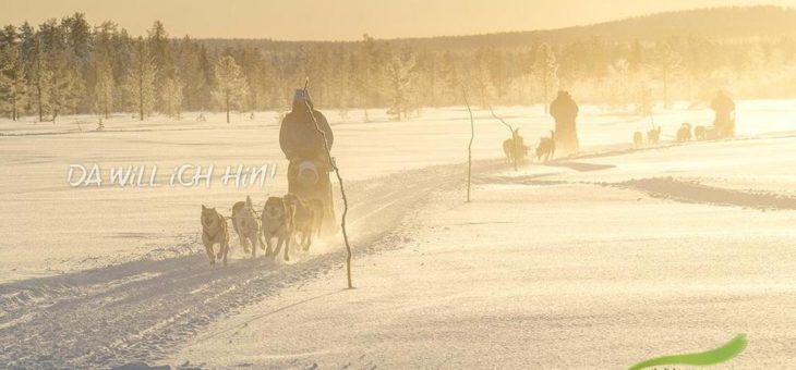 Exklusive Polarlicht-Reisen mit erfahrenen Profi-Fotografen