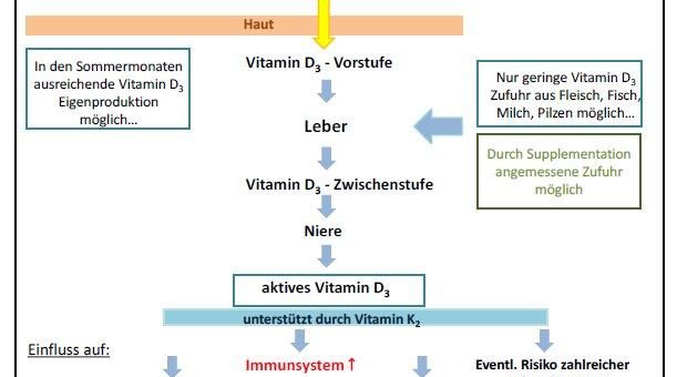 Jetzt mit Vit. D plus Vit K2 Ergänzung starten