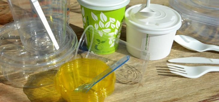 Lebensmittel „to go“ nachhaltig verpackt: C.A.R.M.E.N.-WebSeminar informiert über Alternativen zu Einwegplastik