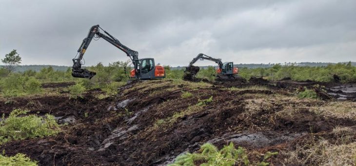 Totes Moor: Neue Wälle sollen helfen, Wasser zu speichern