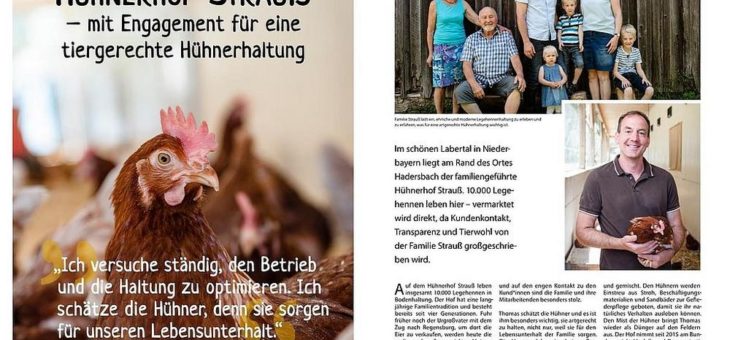 Bauernfamilien laden ein, in ihre Ställe zu schauen:  Broschüre bietet neue EinSichten in die Tierhaltung