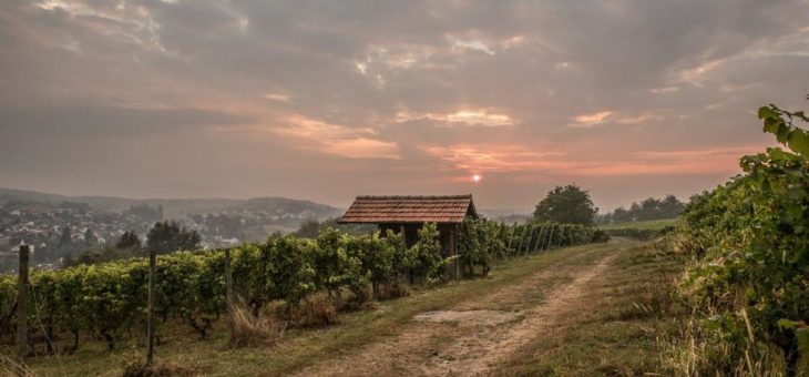 Kraichgau at it’s best- jetzt auch in der Touristinformation Bruchsal