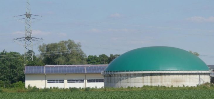 Neue Stromtarife für die Landwirtschaft