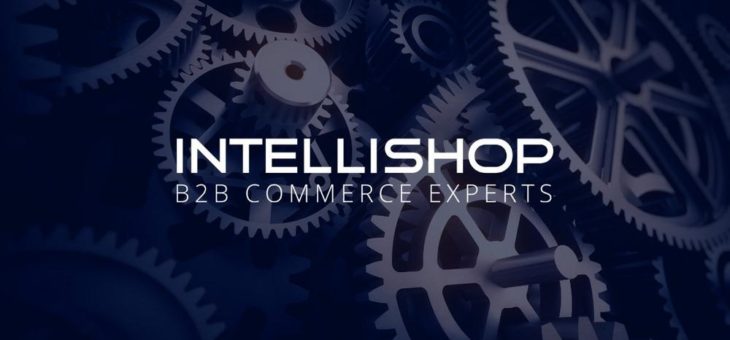 Systemintegration mit IntelliShop: B2B E-Commerce im Maschinenbau