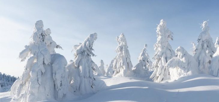 Vom Staubkorn zum Eiskristall: So entsteht Schnee