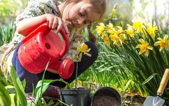 Ab in den Garten: So bleiben die Hände gesund