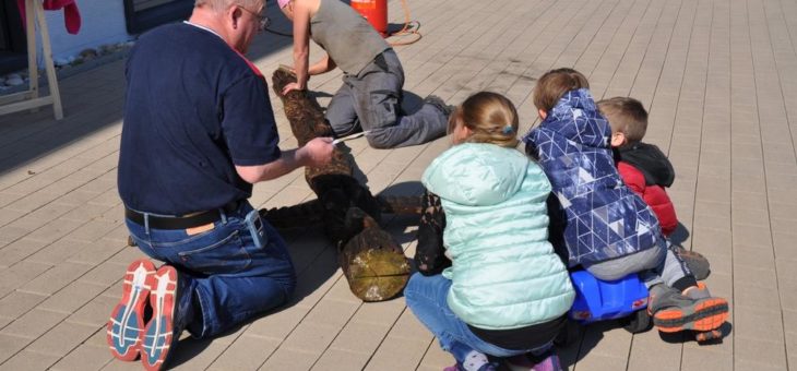 Die Kinder- und Jugendpsychiatrie im Christophsbad mit eigenem Totempfahl als Zeichen des Lebensmutes