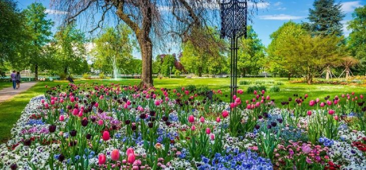 Super-Gartenjahr am Bodensee