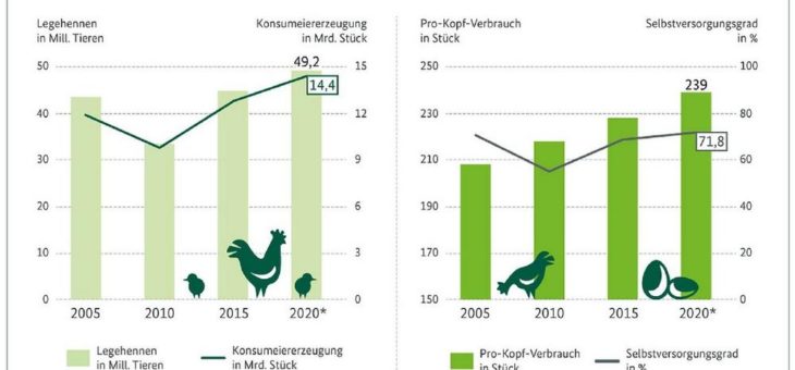 239 Eier pro Person: Höherer Bedarf lässt Selbstversorgung auf 72 Prozent steigen