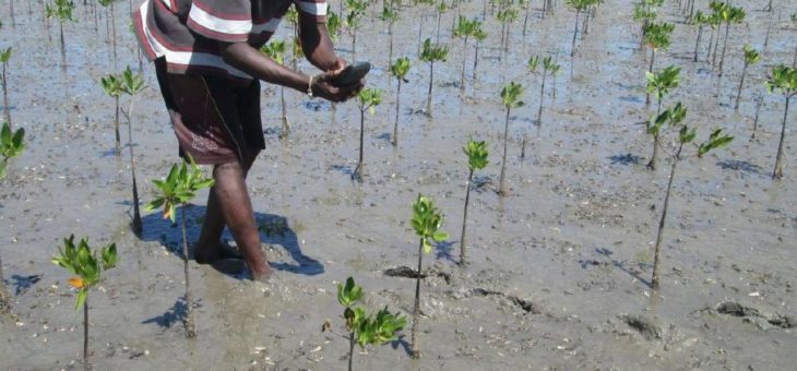 22. April 2021: Earth Day … für Treedom ist jeder Tag für die Welt