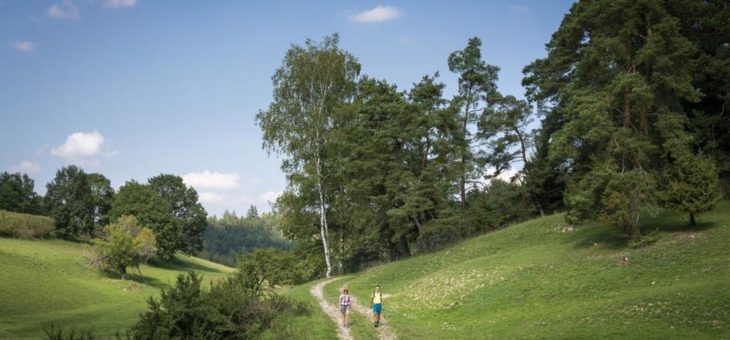 Heute unterwegs zum Familienspaß, morgen auf Tour in die Geschichte