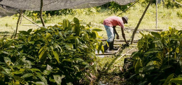 Treedom feiert „Earth Week“ – vom 19.-26. April 2021: Alle online gepflanzten Bäume werden von Treedom verdoppelt!