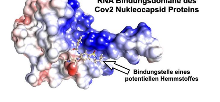 Mit Regensburger High-Tech gegen das Corona-Virus