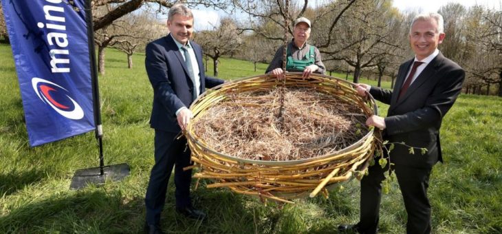 Mainova errichtet Storchennest in Nieder-Erlenbach