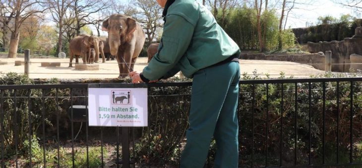 Endlich – Hagenbeck darf wieder öffnen