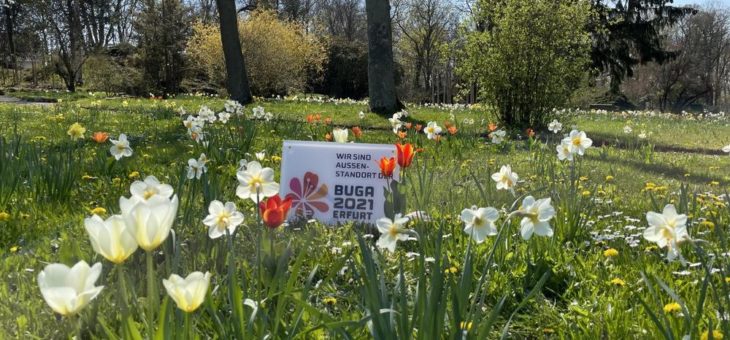 1. Mai – Saisonbeginn im Europa-Rosarium